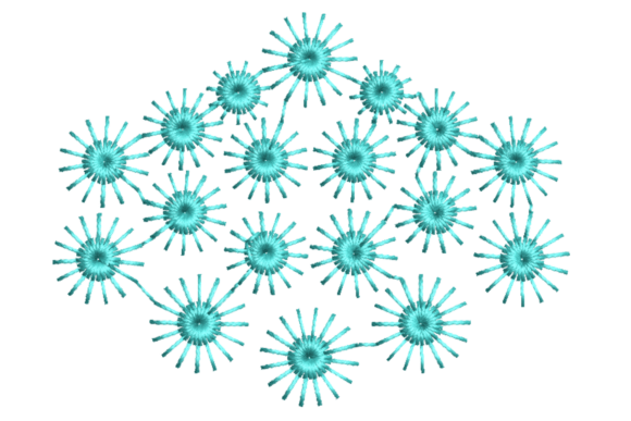 Floral Shape Embroidery Design Review